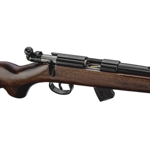 Carabine CAL. 22 LR Norinco mod. JW15  crosse bois