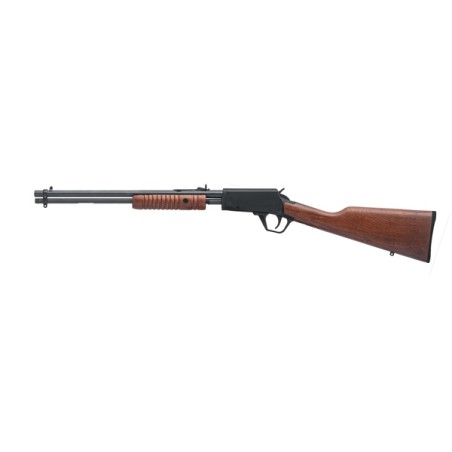 Carabine à pompe ROSSI  Gallery cal .22LongRifle.