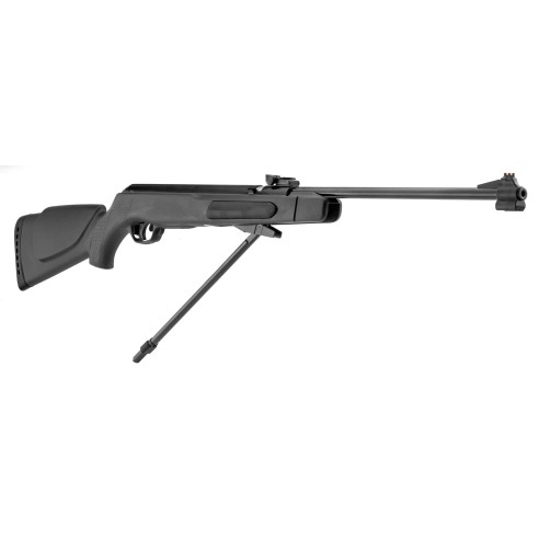 Carabine GAMO Big Cat CFX synthétique calibre...