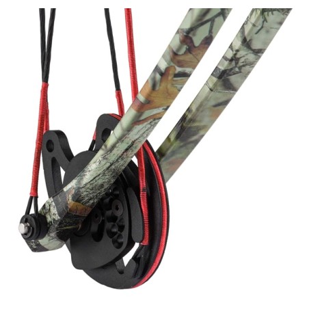 Arc Shoot Again compound M107 camo sombre